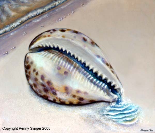 Cowrie