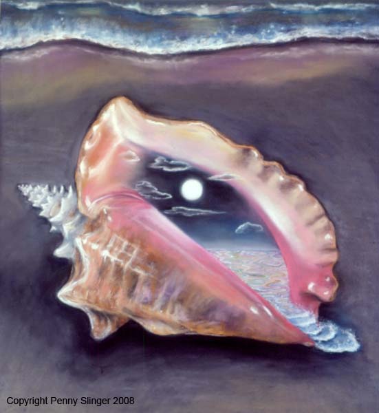 Moonight conch shell