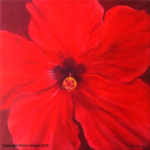 Scarlet Hibiscus