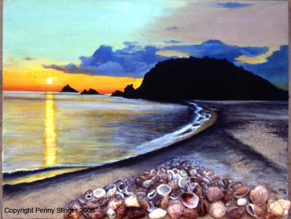 Shell Bay